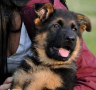 N�meck� ov��k - Rezervace na �t��ata s PP