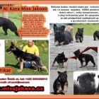 N�meck� ov��k s PP