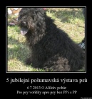 Al�k�v poh�r 2013