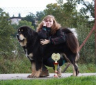 Tibetsk� doga - �t��ata s PP