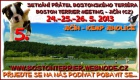 5. ro�n�k Setk�n� p��tel bostonsk�ho teri�ra Ji��n