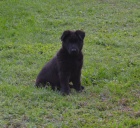 prod�m �t�n�