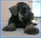 Kn�ra� mal� pep� a s�l s PP