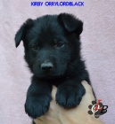 N�meck� ov��k