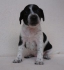 Mexick� nah�� mal�