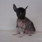 Mexick� nah�� mal�