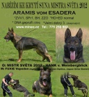 Nab�z�m ke kryt� syna MISTRa SV�TA 2012