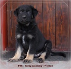 �t��ata NO s PP