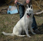 zad�m �t��ata B�O