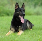 �t��ata NO s PP