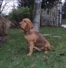 Prod�m �t��ata s PP