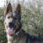 Mlad� fenka NO Elza hled� domov