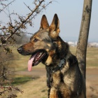 Mlad� fenka NO Elza hled� domov