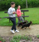 N�meck� ov��k - prod�m �t��ata