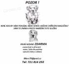 Hl�d�n� a ven�en� ps�