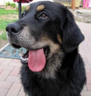 Tibetsk� doga - v�stavn� �t�n� s PP