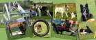 Horse and Home - jezdeck� sortiment pro kon� a psi
