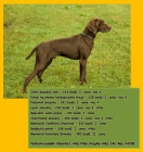 �t��ata NKO s PP