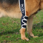 Ort�zy a kr�n� l�mce pro psy a ko�ky BALTO