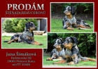 Beauceron- strakat� spole�n�k a ochr�nce s PP