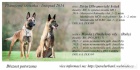 Belgick� ov��k - Malinois