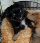 M�me �t���tka