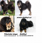 Tibetsk� doga - DoKhyi