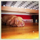 �t��ata ma�arsk�ho oha�e