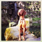 �t��ata ma�arsk�ho oha�e