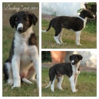 �t���tka barzoje