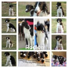 �t���tka barzoje