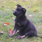 �t���tka NO s PP