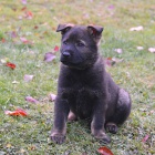 �t���tka NO s PP