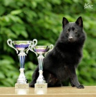 �iperka s PP - zad�me �t���tka, narod� se na V�noce