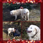 Slovensk� �uva� s PP