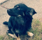 M�a mal� a mlad� ;-)