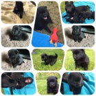 �t���tka �iperky