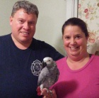 Prod�m �ako Africk� �ed� papou�ci