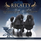 Pudl velk� (kr�lovsk�) �ern� s PP