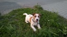 Kryt� JRT