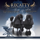 Pudl velk�, �ern� s PP