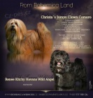 Havansk� ps�k s PP