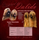 Briard plav� �t���tka