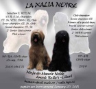 Briard� fenka s PP