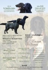 �t���tka Flat Coated Retriever s PP