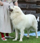 Slovensk� �uva� s PP