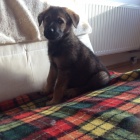 �t���tka "vl��k�"