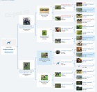 Whippet/Vipet s PP Zad�m posledn�ho pejska vrhu B