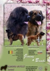 Leonberger �teniatka s PP