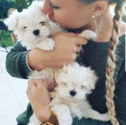 malt�tina �t��ata k adopci